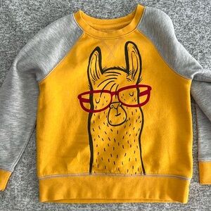 Kids 5T cat&Jack llama sweatshirt